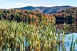 Kent Pond 2022